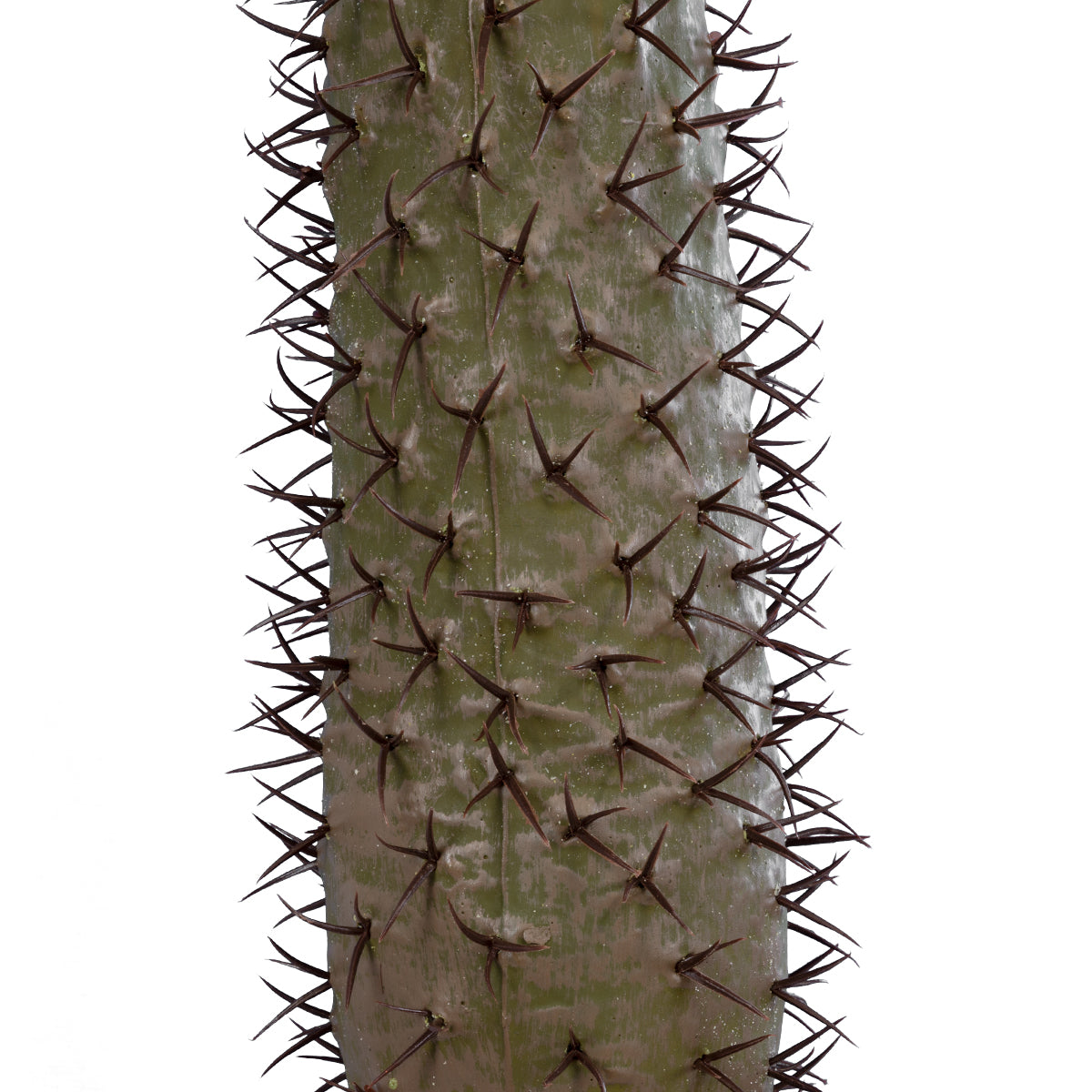 PACHYPODIUM LAMEREI PALM TREE 20129 Τεχνητό Διακοσμητικό Φυτό Φοίνικας της Μαγαδασκάρης Υ105cm