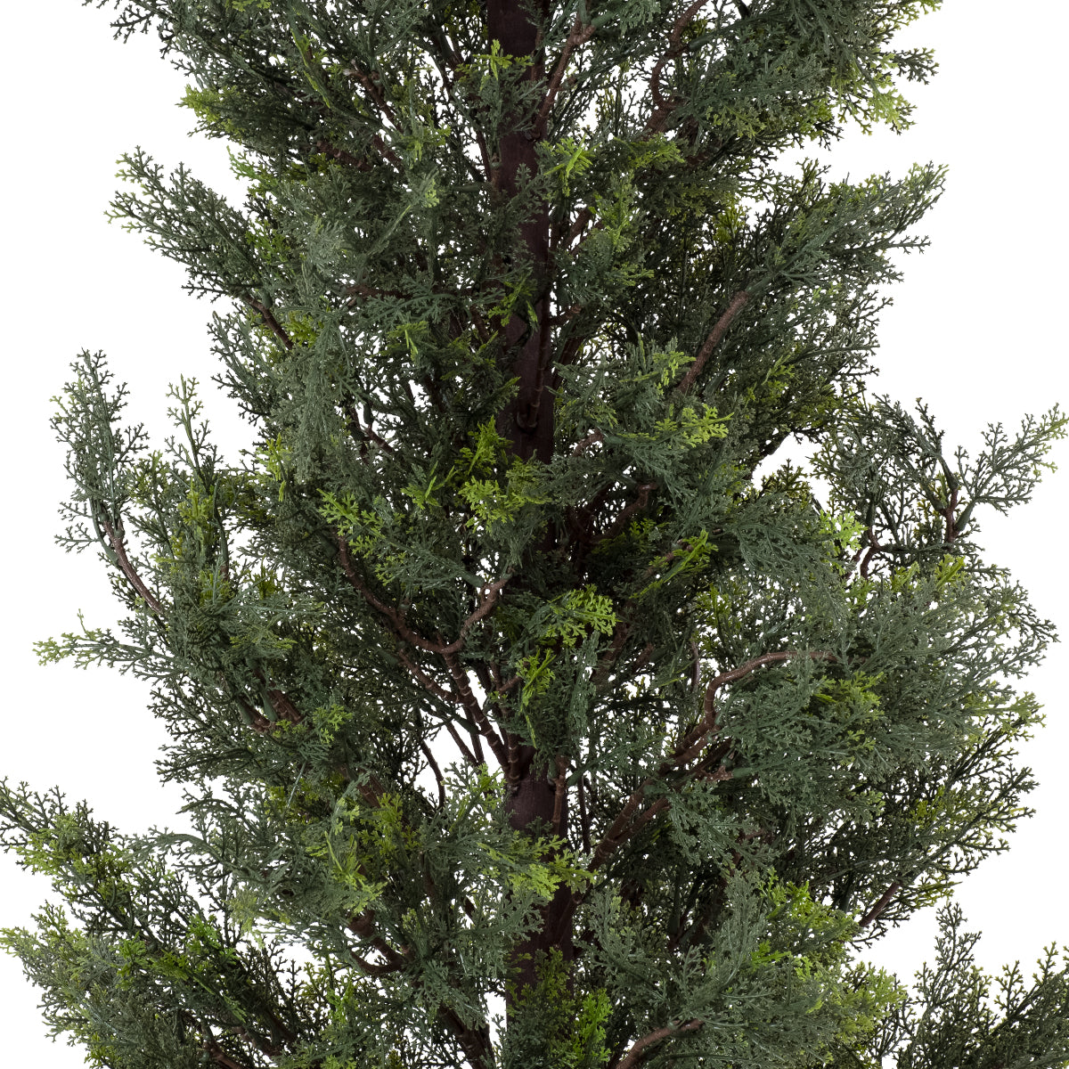 LEMON CYPRESS 20153 Τεχνητό Διακοσμητικό Φυτό Λεμονόκυπάρισσο Υ180cm