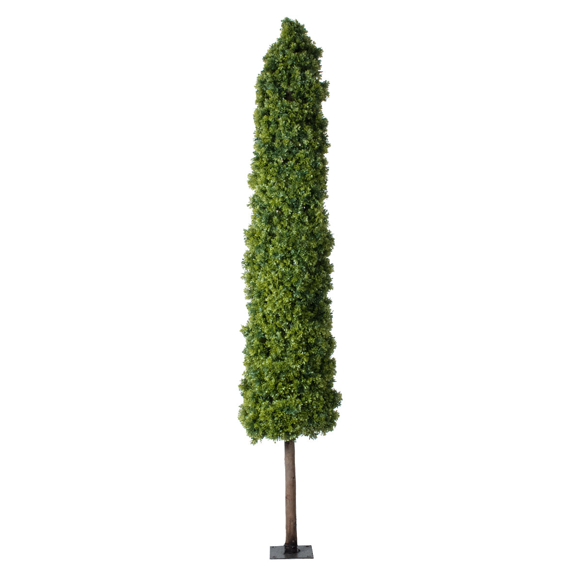 BUXUS 20158 Τεχνητό Διακοσμητικό Φυτό Πυξός Υ250cm