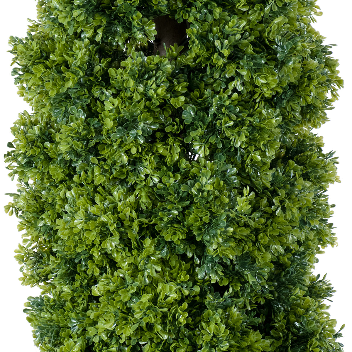 BUXUS 20158 Τεχνητό Διακοσμητικό Φυτό Πυξός Υ250cm