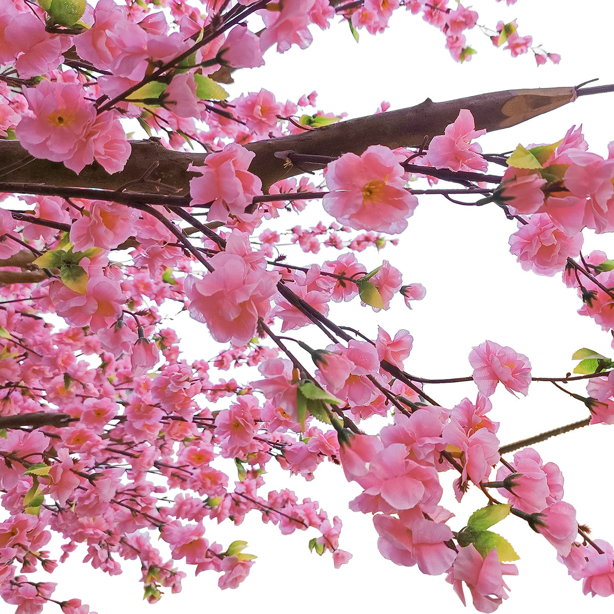 PEACH BLOSSOM TREE 20159 Τεχνητό Διακοσμητικό Δέντρο Ανθισμένη Ροδακινιά Υ340cm