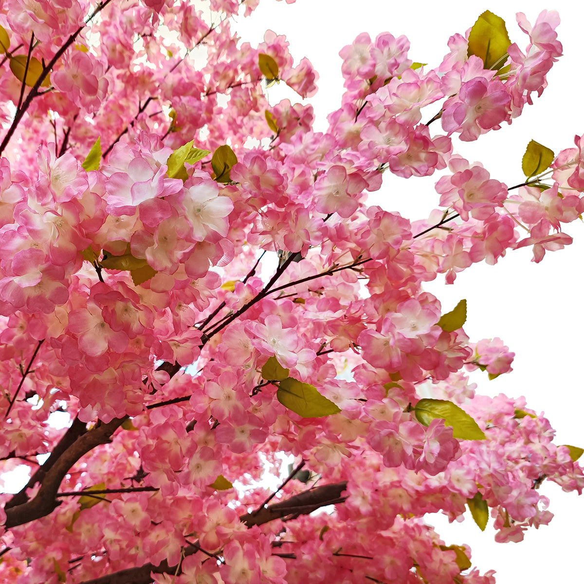 CHERRY PRUNUS BLOSSOM TREE 20164 Τεχνητό Διακοσμητικό Δέντρο Άνθος Κερασιάς Προύμνη Υ340cm