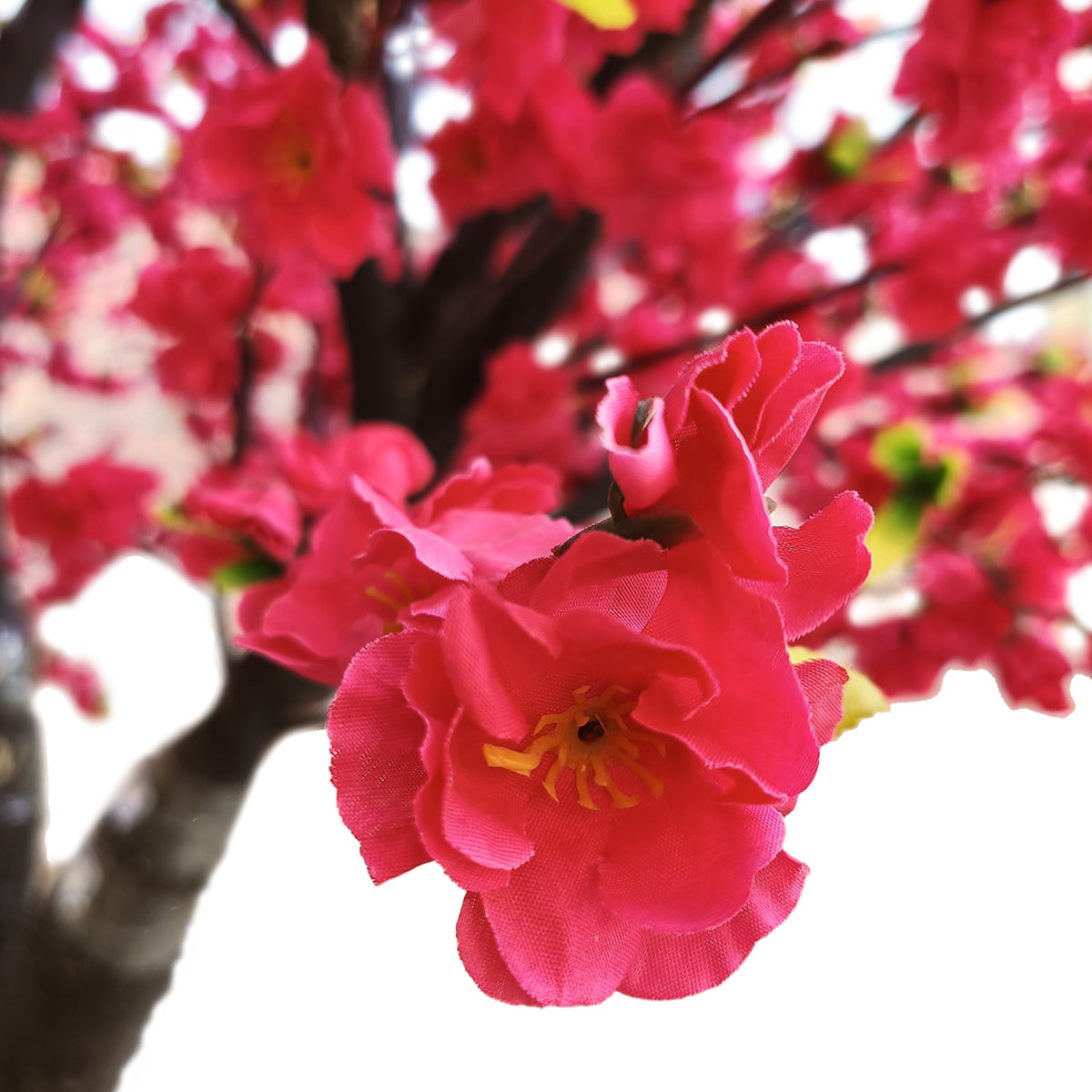 PEACH BLOSSOM TREE 20168 Τεχνητό Διακοσμητικό Δέντρο Ανθισμένη Ροδακινιά Υ300cm