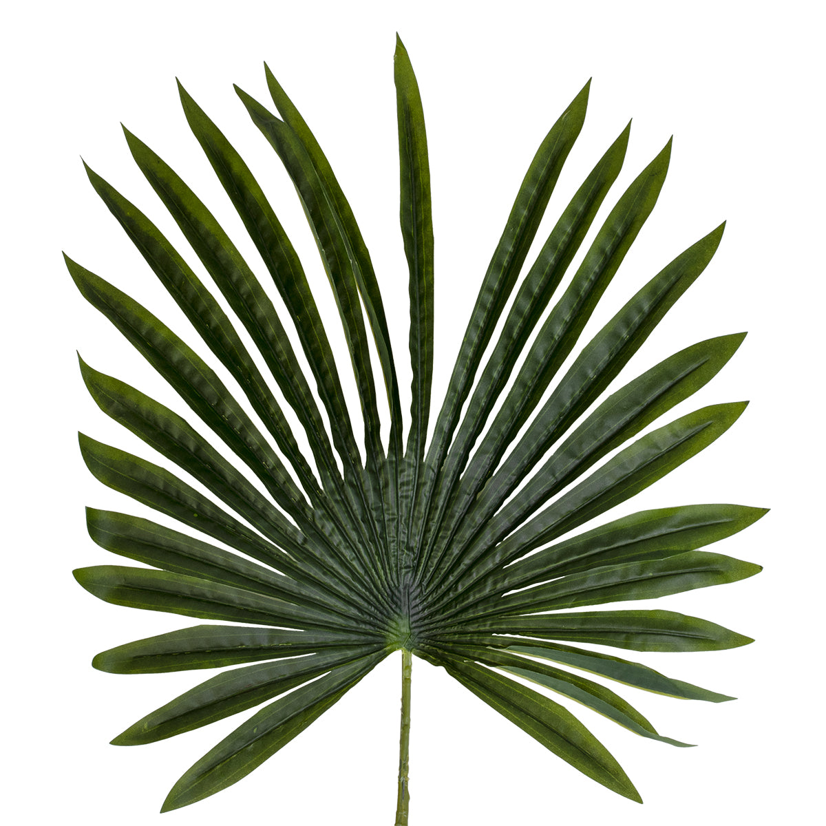 SERENOA PALM LEAF 20173 Τεχνητό Διακοσμητικό Φύλο Φοινικόδεντρου Σερενόα Βεντάλια Π47 x Υ120cm