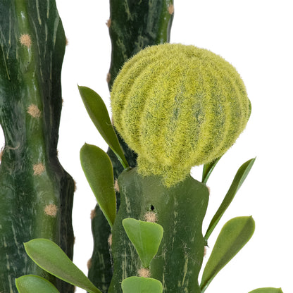 CEREUS JAMACARU CACTUS 20193 Τεχνητό Διακοσμητικό Φυτό Κάκτος Κηρίος Υ120cm