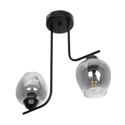 GLOSSA 201-0091 Vintage Φωτιστικό Οροφής Μπάλα Δίφωτο 2 x E27 IP20 Μαύρο Μέταλλο με Μαύρο Φιμέ Γυαλί - Μ40 x Π15 x Υ17