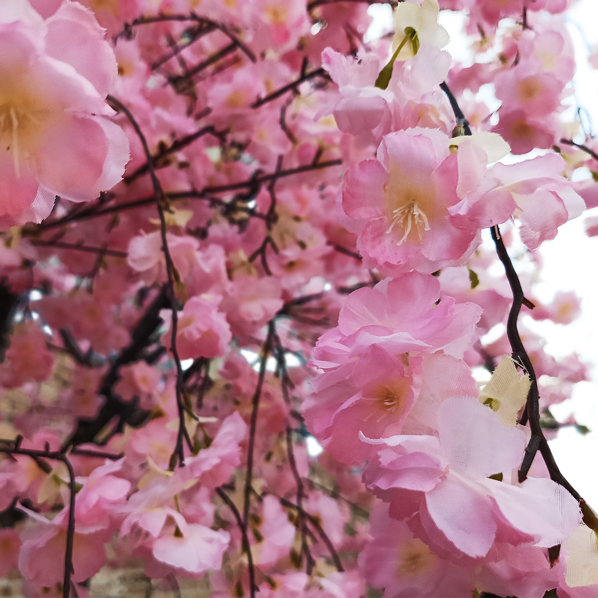 CHERRY BLOSSOM TREE 20212 Τεχνητό Διακοσμητικό Δέντρο Άνθος Κερασιάς Υ300cm