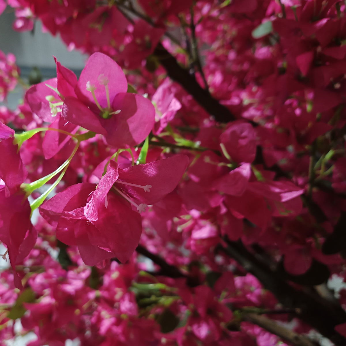 RHODODENDRON TREE 20363 Τεχνητό Διακοσμητικό Δέντρο Ροδόδενδρο Υ350cm