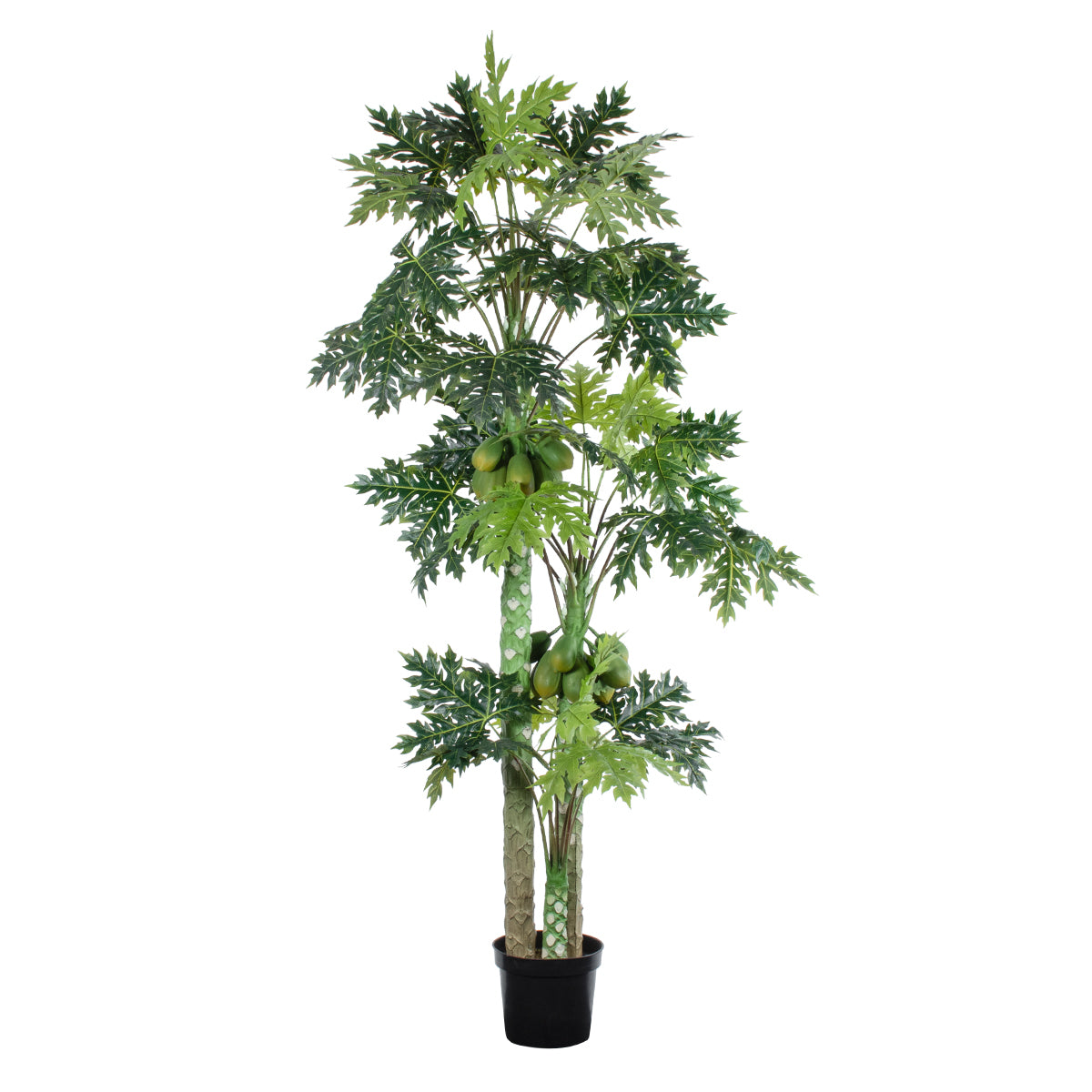 PAPAYA TREE 20383 Τεχνητό Διακοσμητικό Φυτό Παπάγια Υ270cm