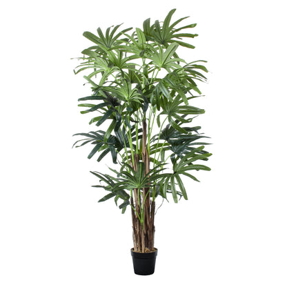 BROADLEAF LADY PALM TREE 20385 Τεχνητό Διακοσμητικό Φυτό Πλατύφυλλος Φοίνικας Μπαμπού Υ200cm