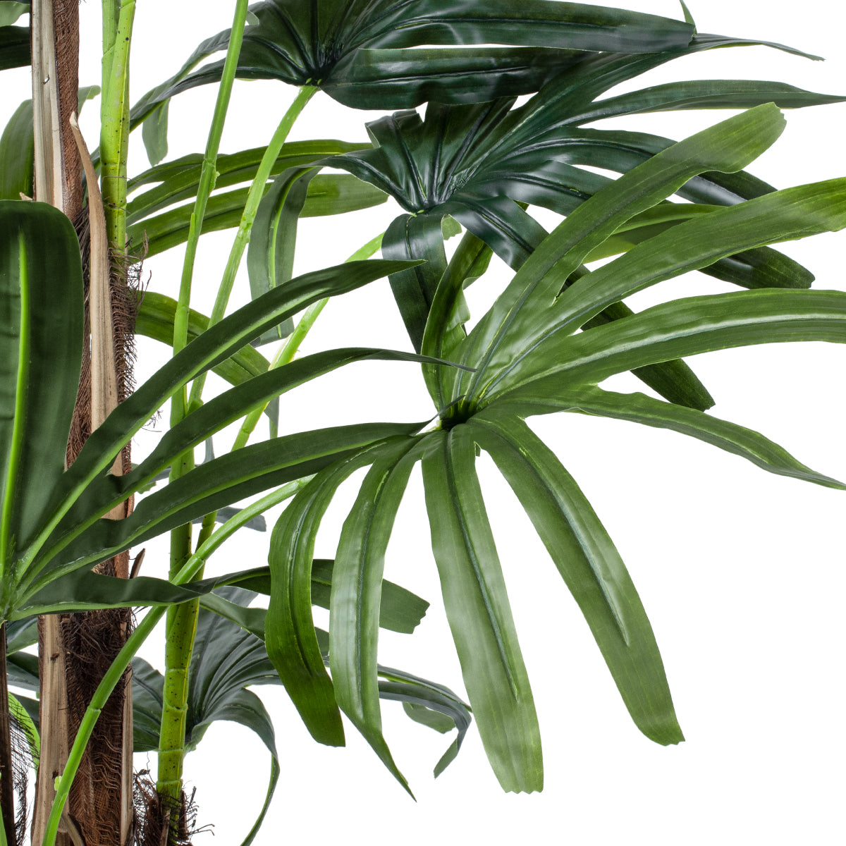 BROADLEAF LADY PALM TREE 20385 Τεχνητό Διακοσμητικό Φυτό Πλατύφυλλος Φοίνικας Μπαμπού Υ200cm