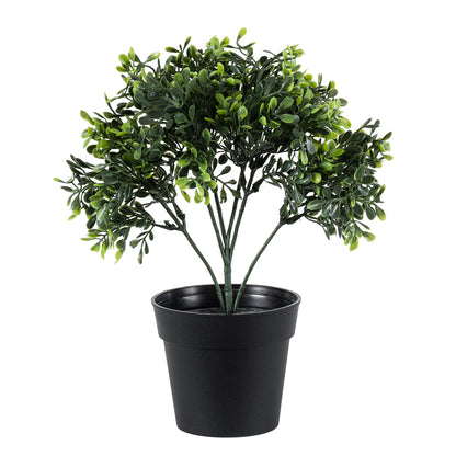 BUXUS 20387 Τεχνητό Διακοσμητικό Φυτό Πυξός Υ30cm