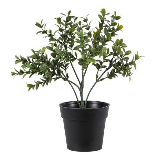 BUXUS 20388 Τεχνητό Διακοσμητικό Φυτό Πυξός Υ30cm