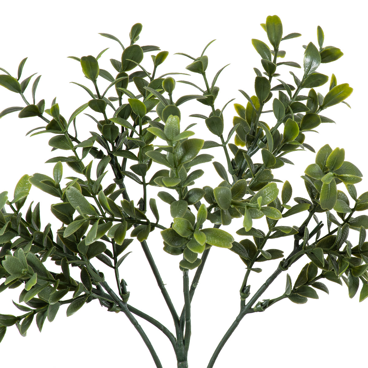 BUXUS 20388 Τεχνητό Διακοσμητικό Φυτό Πυξός Υ30cm