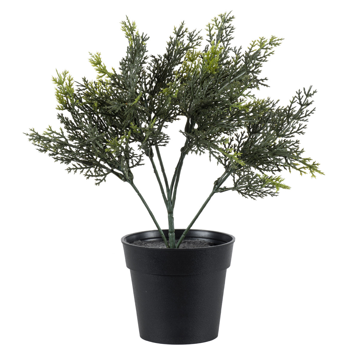 LEMON CYPRESS 20389 Τεχνητό Διακοσμητικό Φυτό Λεμονόκυπάρισσο Υ30cm