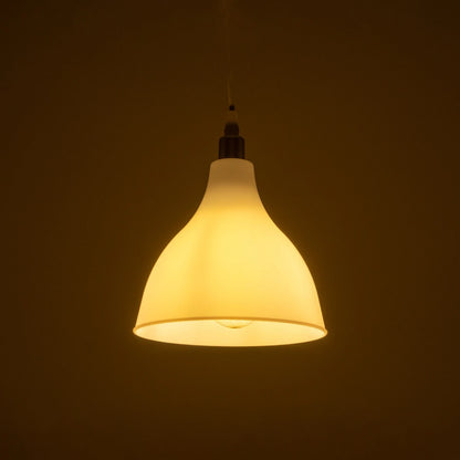 RADE 203-0126 Μοντέρνο Κρεμαστό Φωτιστικό Οροφής με Ντουί 1 x E27 AC 220-240V IP20 - Λευκό & Ασημί - Μ18.5 x Π18.5 x Υ23