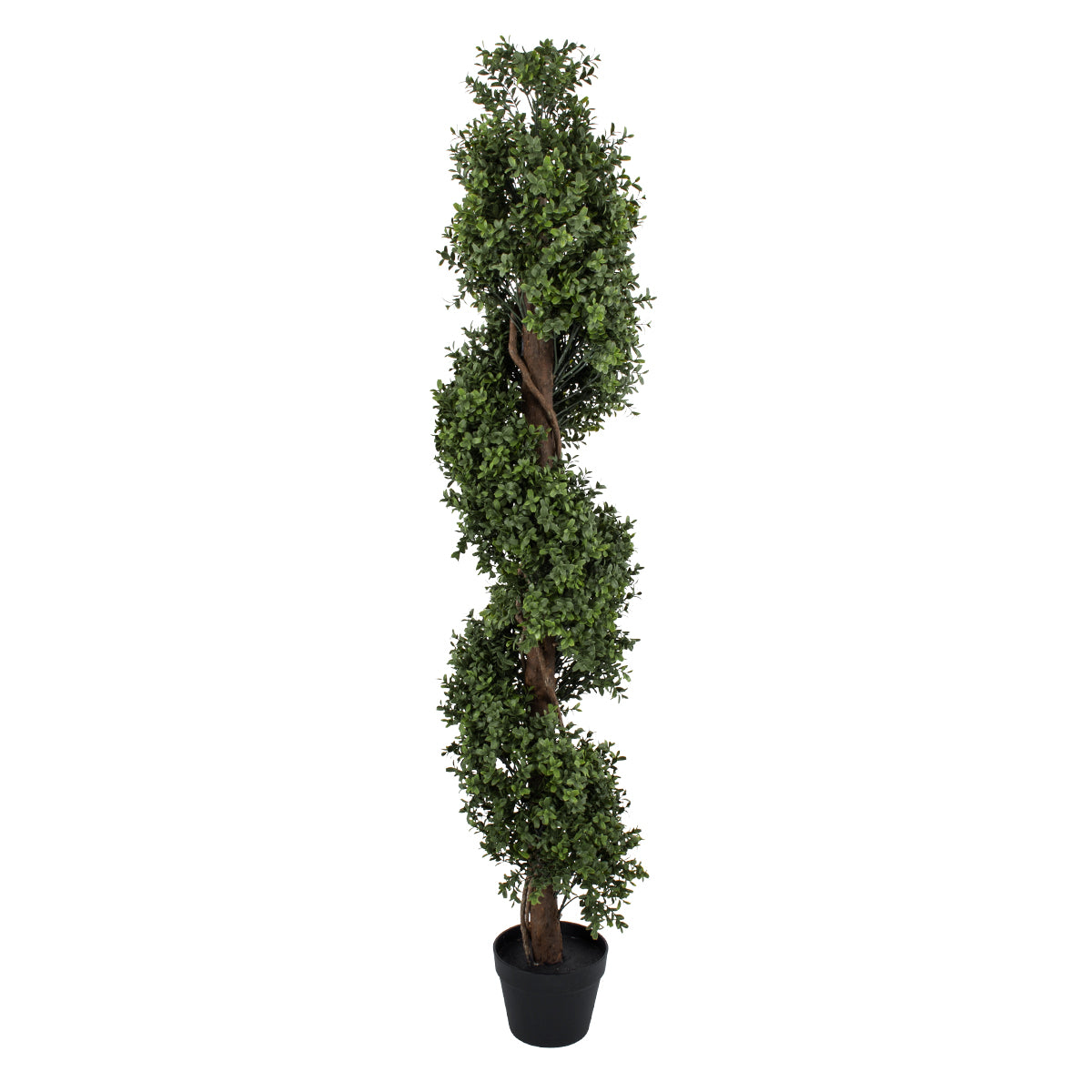 BUXUS SPIRAL 20401 Τεχνητό Διακοσμητικό Φυτό Σπιράλ Πυξός Υ150cm