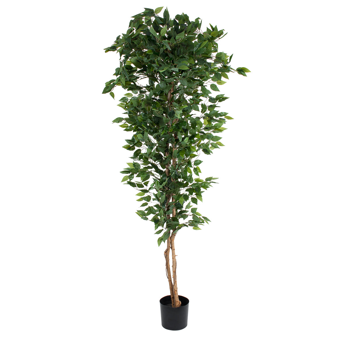 FICUS BENJAMINA TREE 20417 Τεχνητό Διακοσμητικό Φυτό Φίκος Μπενζαμίνη Υ210cm