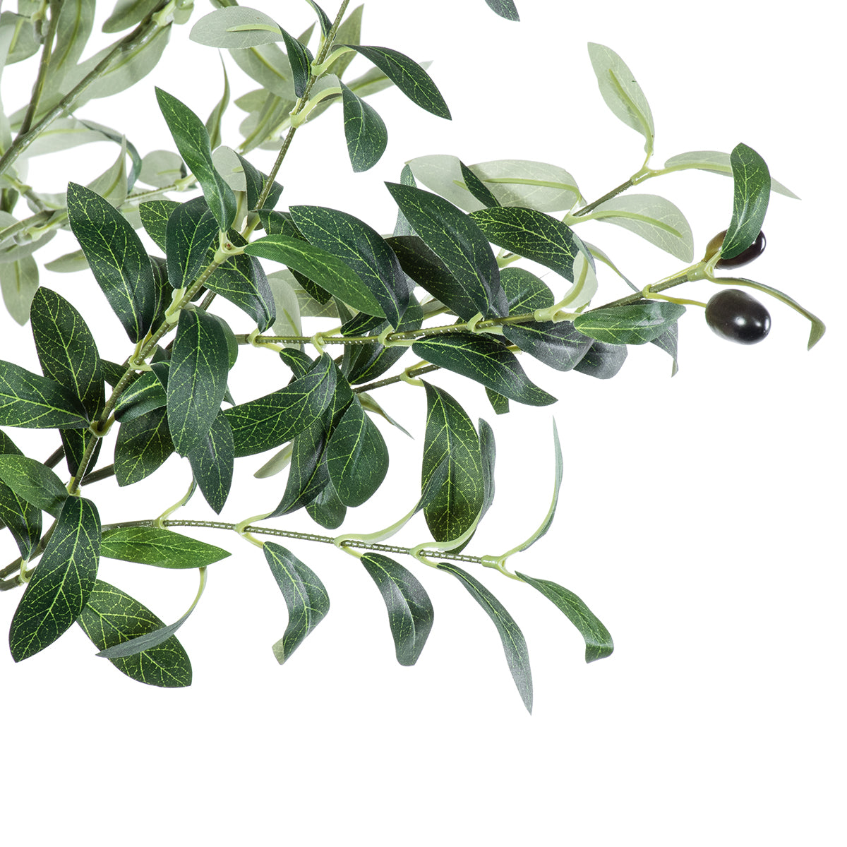 OLIVE TREE 20429 Τεχνητό Διακοσμητικό Δέντρο Ελιά Υ240cm