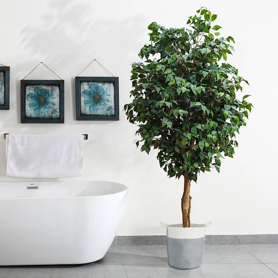 FICUS BENJAMINA TREE 20431 Τεχνητό Διακοσμητικό Φυτό Φίκος Μπενζαμίνη Υ210cm