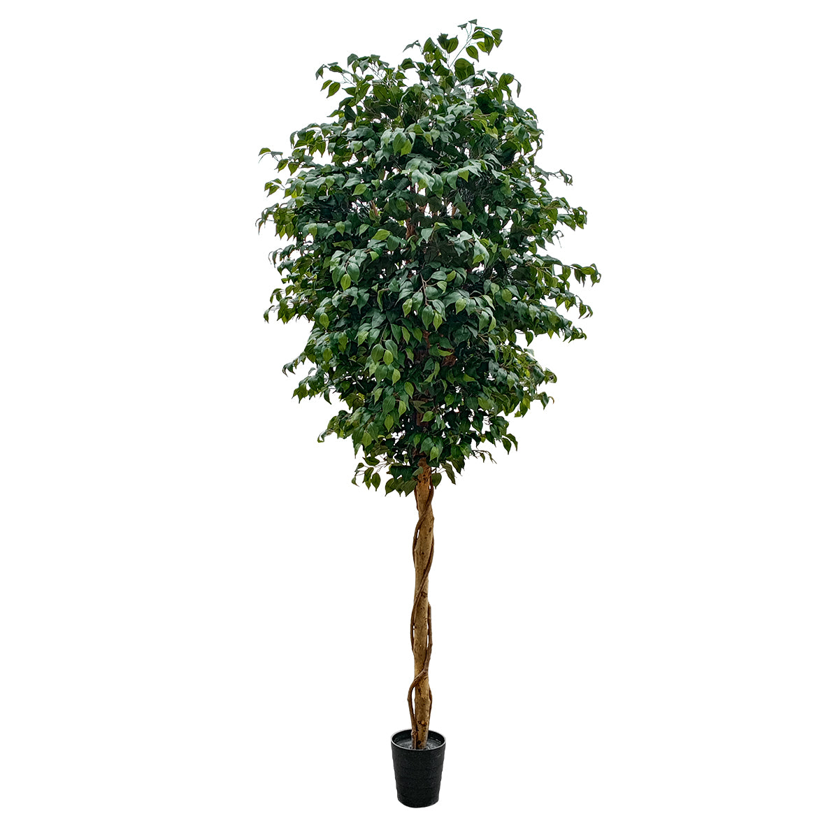 FICUS BENJAMINA TREE 20432 Τεχνητό Διακοσμητικό Φυτό Φίκος Μπενζαμίνη Υ300cm