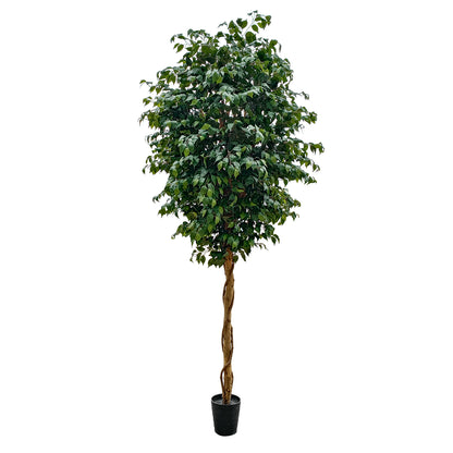 FICUS BENJAMINA TREE 20432 Τεχνητό Διακοσμητικό Φυτό Φίκος Μπενζαμίνη Υ300cm