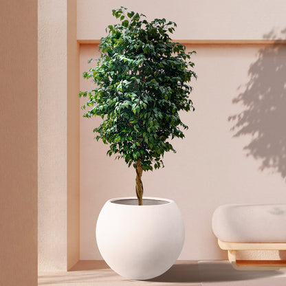 FICUS BENJAMINA TREE 20432 Τεχνητό Διακοσμητικό Φυτό Φίκος Μπενζαμίνη Υ300cm