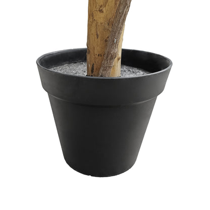 FICUS BENJAMINA TREE 20432 Τεχνητό Διακοσμητικό Φυτό Φίκος Μπενζαμίνη Υ300cm