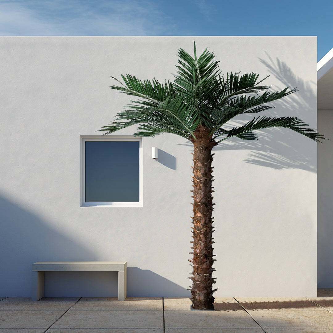 COCONUT PALM TREE 20436 Τεχνητό Διακοσμητικό Φοινικόδεντρο Κοκοφοίνικας Υ600cm