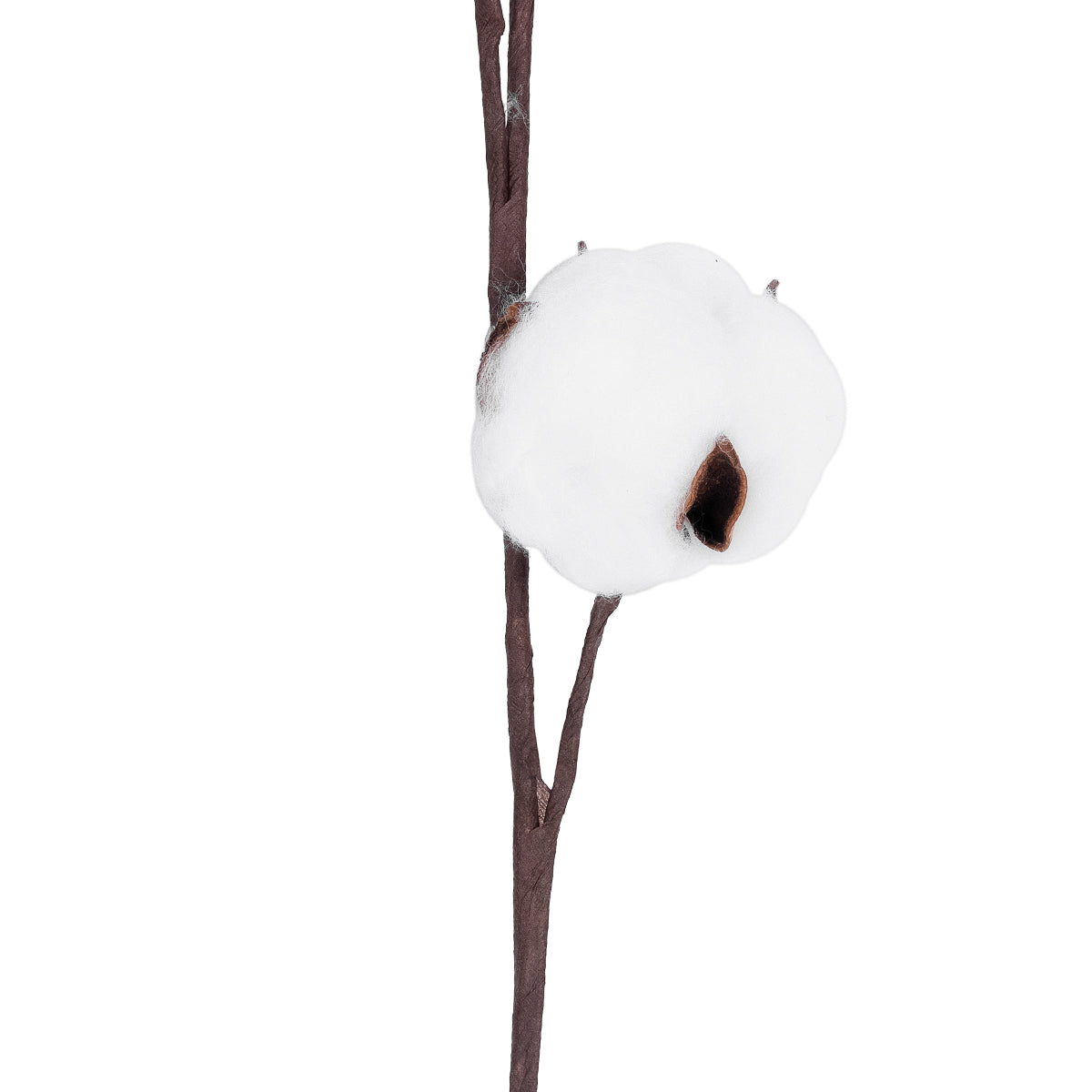 COTTON BRANCH 20493 Τεχνητό Διακοσμητικό Κλαδί βαμβάκι Υ43cm