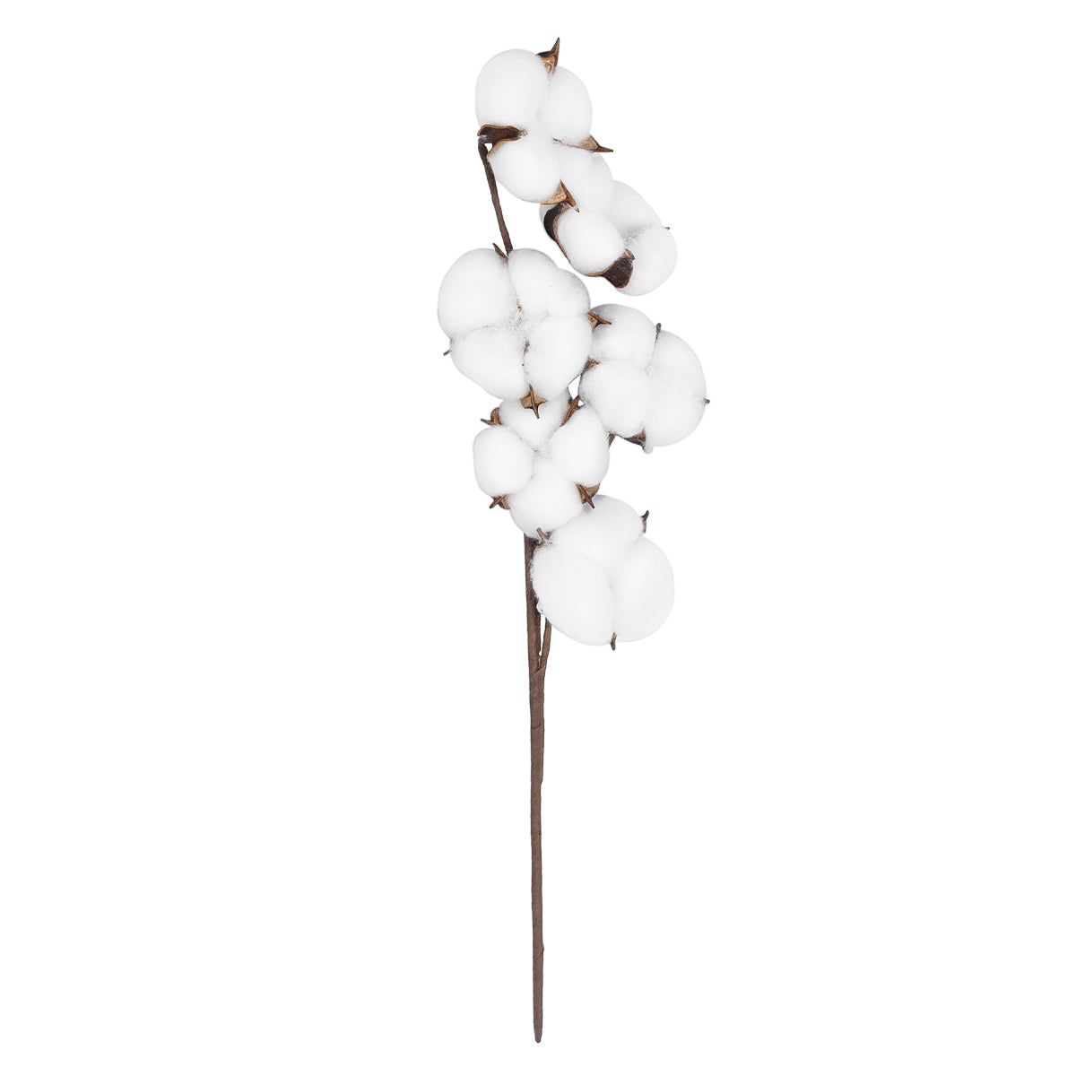 COTTON BRANCH 20558 Τεχνητό Διακοσμητικό Κλαδί βαμβάκι Υ45cm