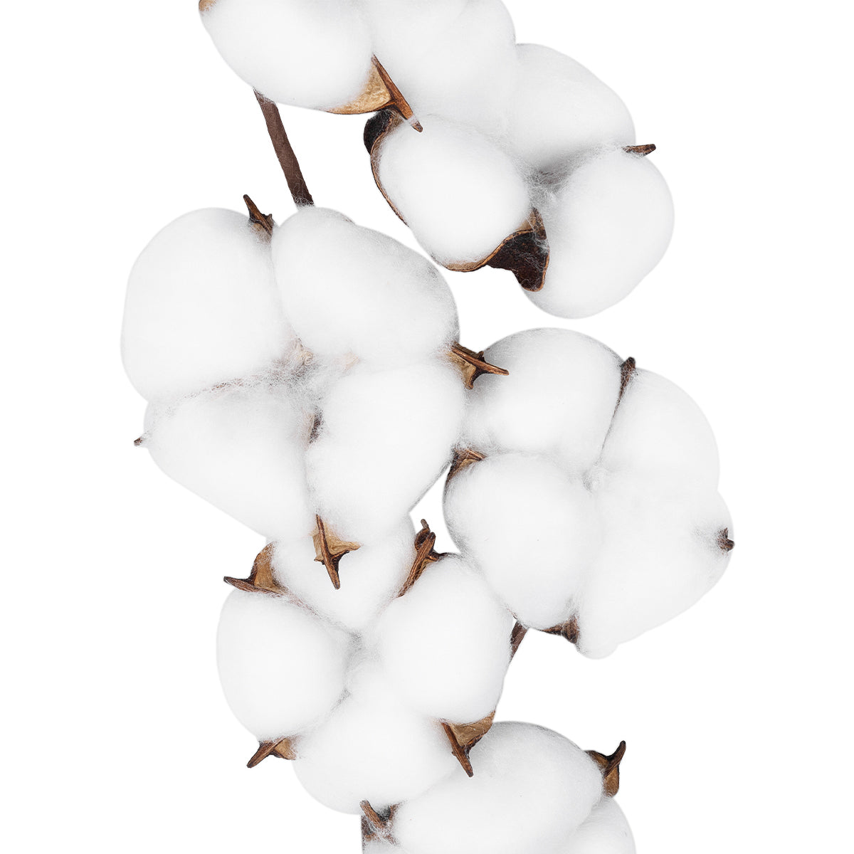 COTTON BRANCH 20558 Τεχνητό Διακοσμητικό Κλαδί βαμβάκι Υ45cm