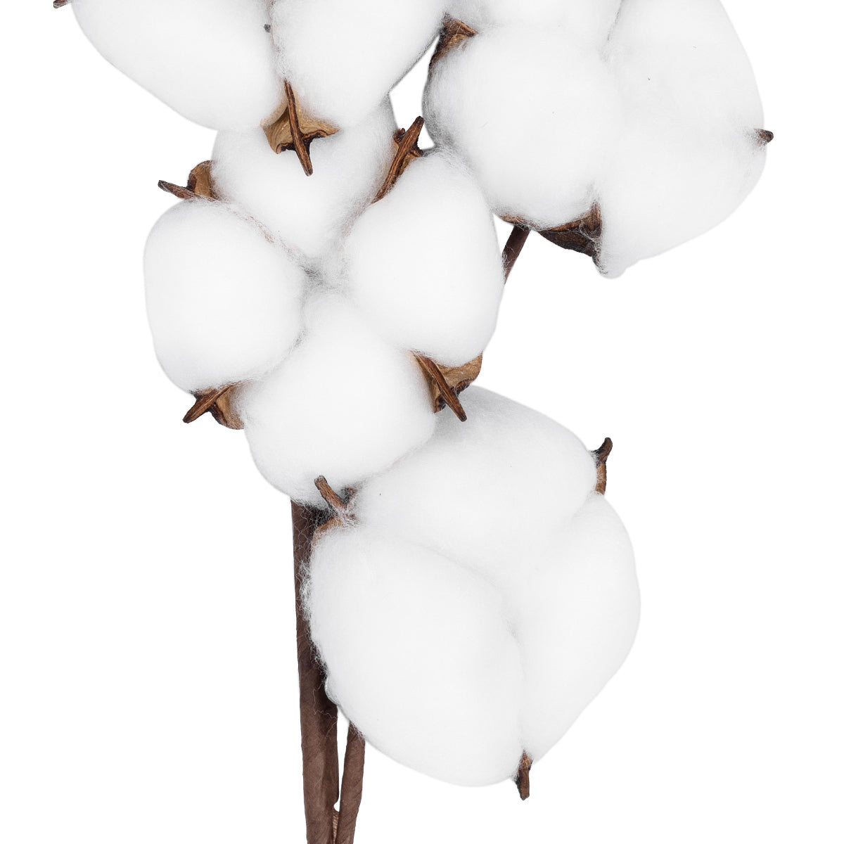 COTTON BRANCH 20558 Τεχνητό Διακοσμητικό Κλαδί βαμβάκι Υ45cm