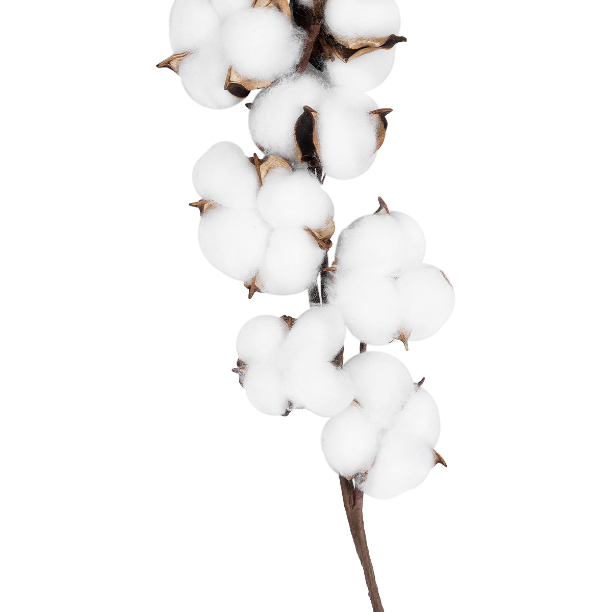 COTTON BRANCH 20559 Τεχνητό Διακοσμητικό Κλαδί βαμβάκι Y55cm