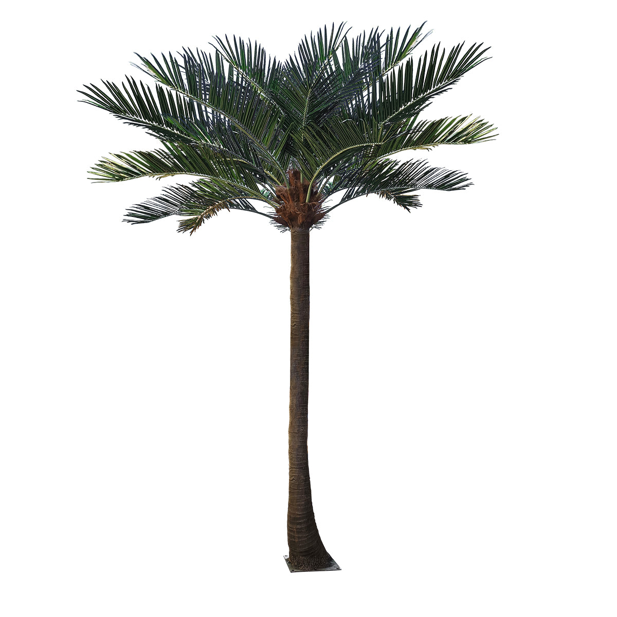 COCONUT PALM TREE 20595 Τεχνητό Διακοσμητικό Φοινικόδεντρο Κοκοφοίνικας Υ600cm