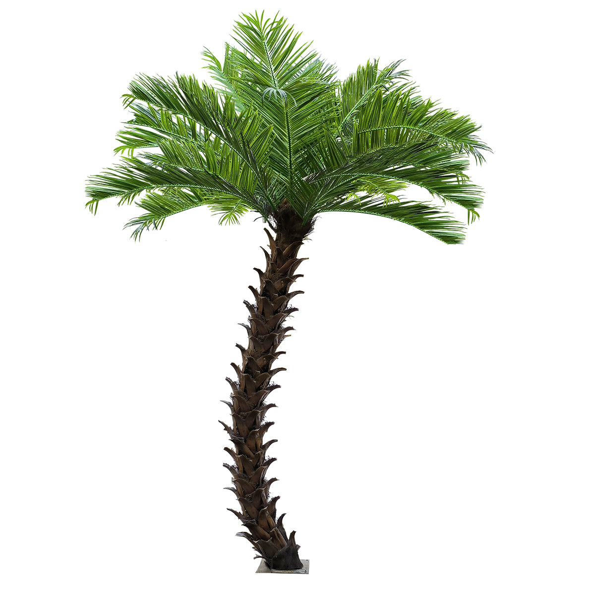 PHOENIX ROEBELENII PALM TREE 20596 Τεχνητό Διακοσμητικό Φυτό Φοινικόδεντρο Ρομπελίνι Εξωτερικού Χώρου IP68 UV Certified Protection Υ500cm