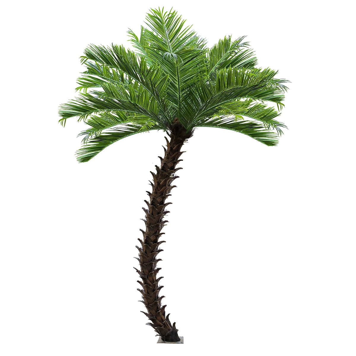 PHOENIX ROEBELENII PALM TREE 20597 Τεχνητό Διακοσμητικό Φυτό Φοινικόδεντρο Ρομπελίνι Εξωτερικού Χώρου IP68 UV Certified Protection Υ600cm