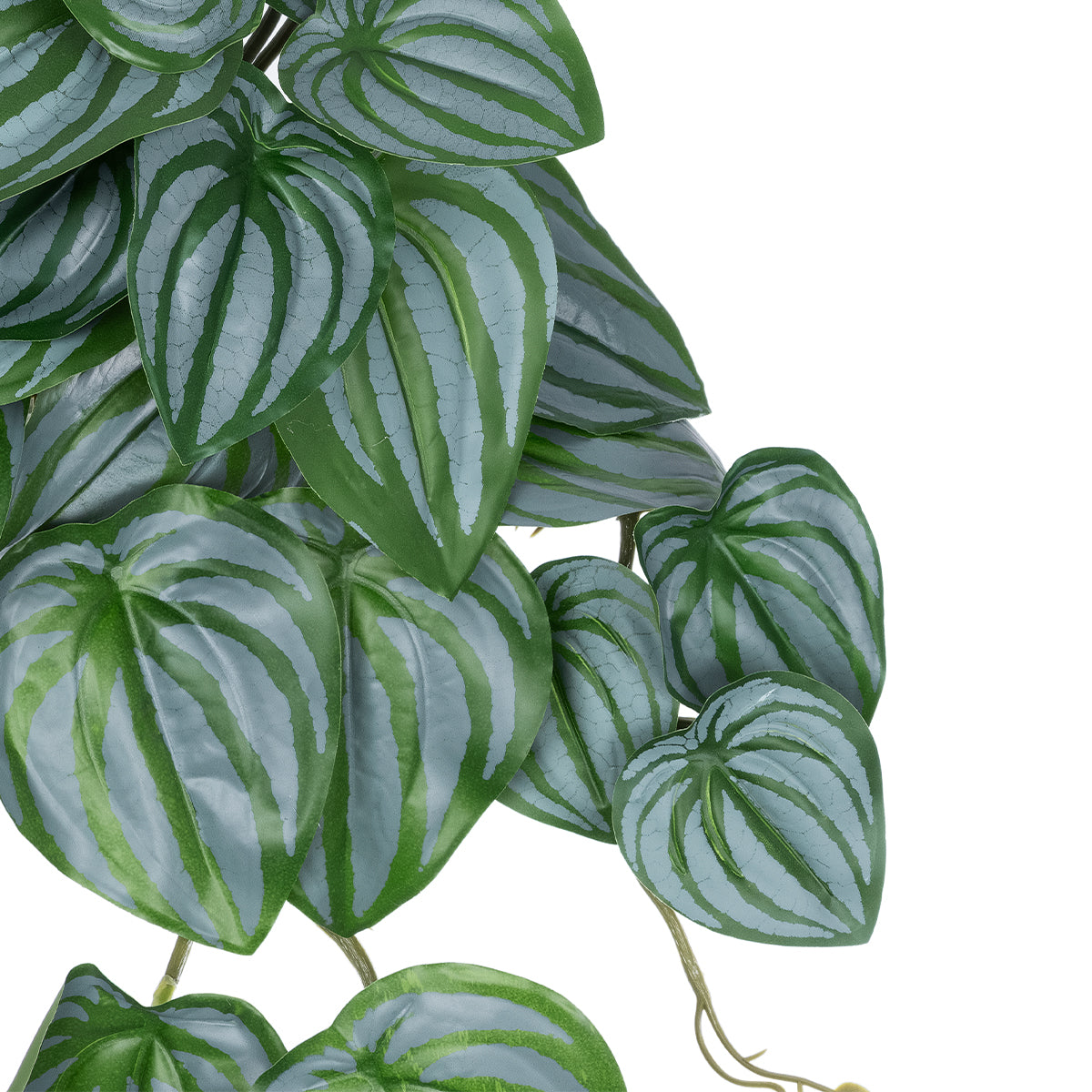 PEPEROMIA HANGING PLANT 20603 Τεχνητό Διακοσμητικό Κρεμαστό Φυτό Πεπερόμια Υ45cm