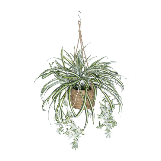 CHLOROPHYTUM COMOSUM HANGING PLANT 20638 Τεχνητό Κρεμαστό Διακοσμητικό Χλωρόφυτο Y50cm