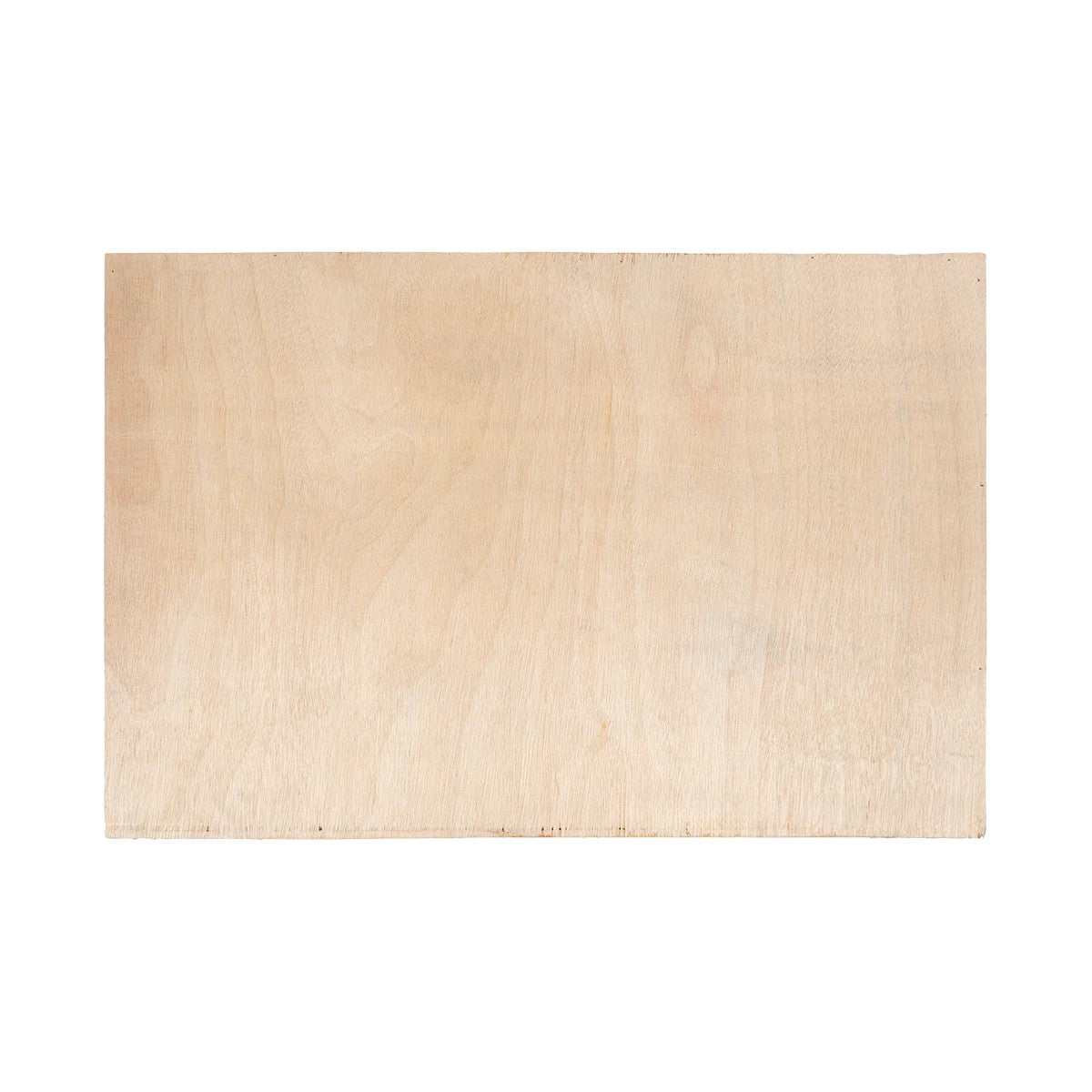 VARIOUS PLANT 20642 Τεχνητό Διακοσμητικό Φυλλωσιάς σε Ξύλινο Πάνελ - Κάθετος Κήπος Μιξ Μ60 x Π40 x Υ20