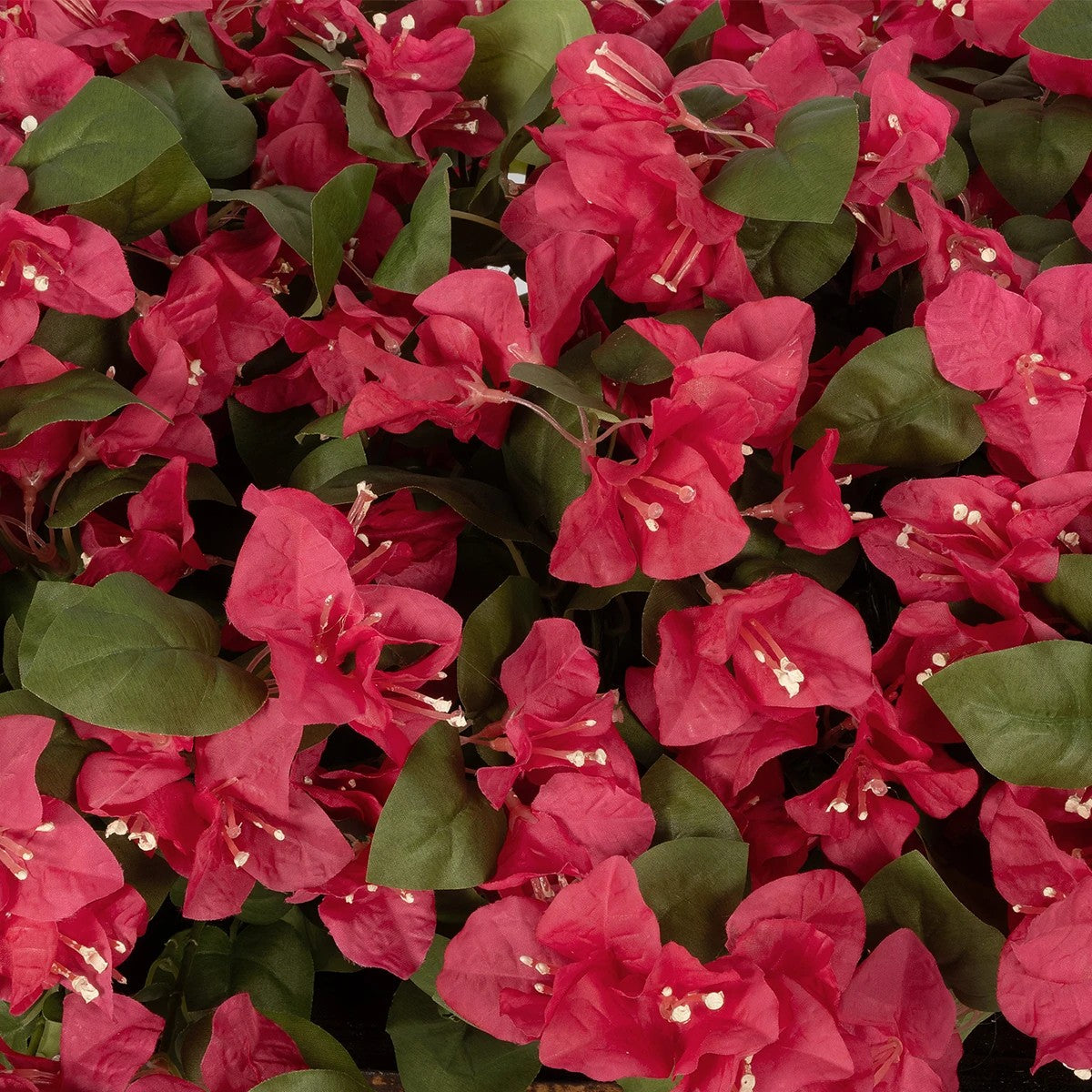 BOUGAINVILLEA PLANT 20666 Τεχνητό Διακοσμητικό Φυτό Μπουκανβίλια Π145 x Μ70 x Y57cm