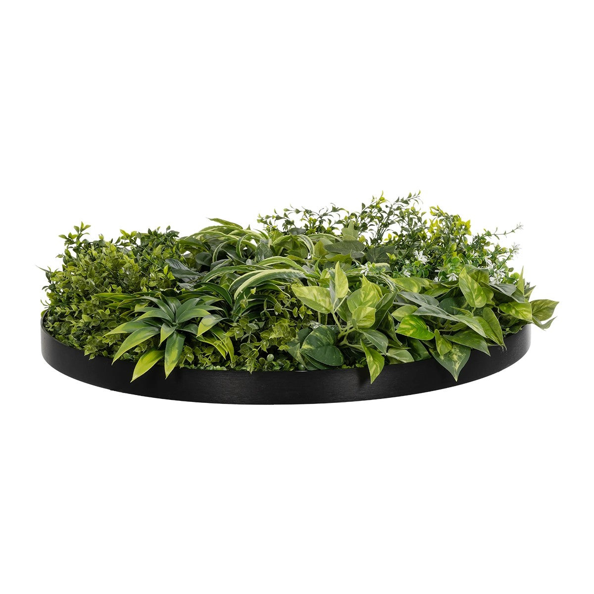 VARIOUS PLANTS ROUND WALL DISC 20689 Τεχνητό Διακοσμητικό Στρογγυλό Πάνελ Φυλλωσιάς - Κάθετος Κήπος Μιξ Μ70 x Π70 x Υ15