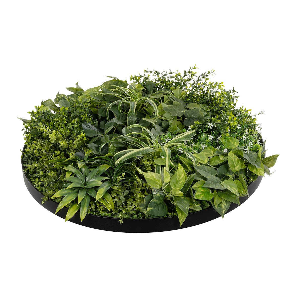 VARIOUS PLANTS ROUND WALL DISC 20689 Τεχνητό Διακοσμητικό Στρογγυλό Πάνελ Φυλλωσιάς - Κάθετος Κήπος Μιξ Μ70 x Π70 x Υ15