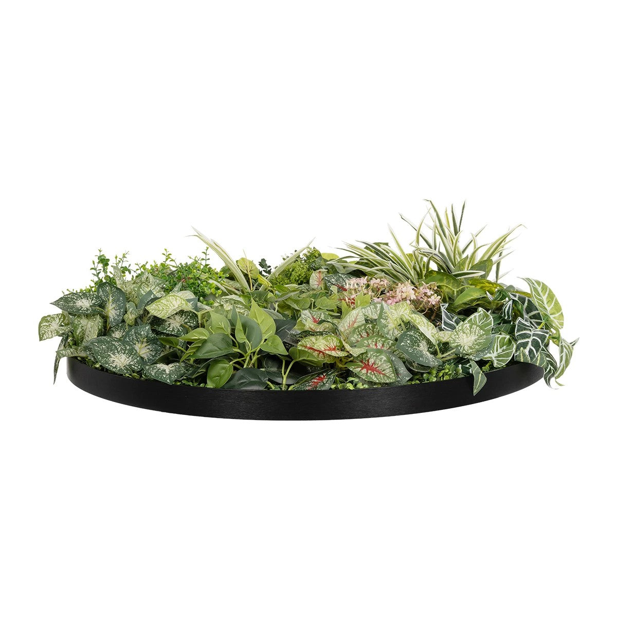VARIOUS PLANTS ROUND WALL DISC 20690 Τεχνητό Διακοσμητικό Στρογγυλό Πάνελ Φυλλωσιάς - Κάθετος Κήπος Μιξ Μ80 x Π80 x Υ20