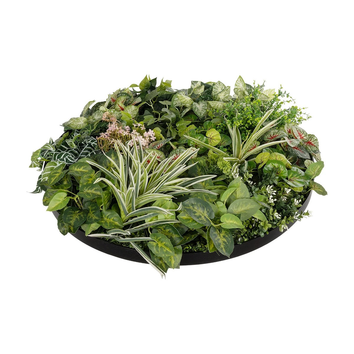 VARIOUS PLANTS ROUND WALL DISC 20690 Τεχνητό Διακοσμητικό Στρογγυλό Πάνελ Φυλλωσιάς - Κάθετος Κήπος Μιξ Μ80 x Π80 x Υ20