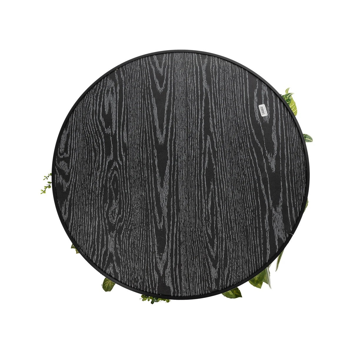 VARIOUS PLANTS ROUND WALL DISC 20690 Τεχνητό Διακοσμητικό Στρογγυλό Πάνελ Φυλλωσιάς - Κάθετος Κήπος Μιξ Μ80 x Π80 x Υ20