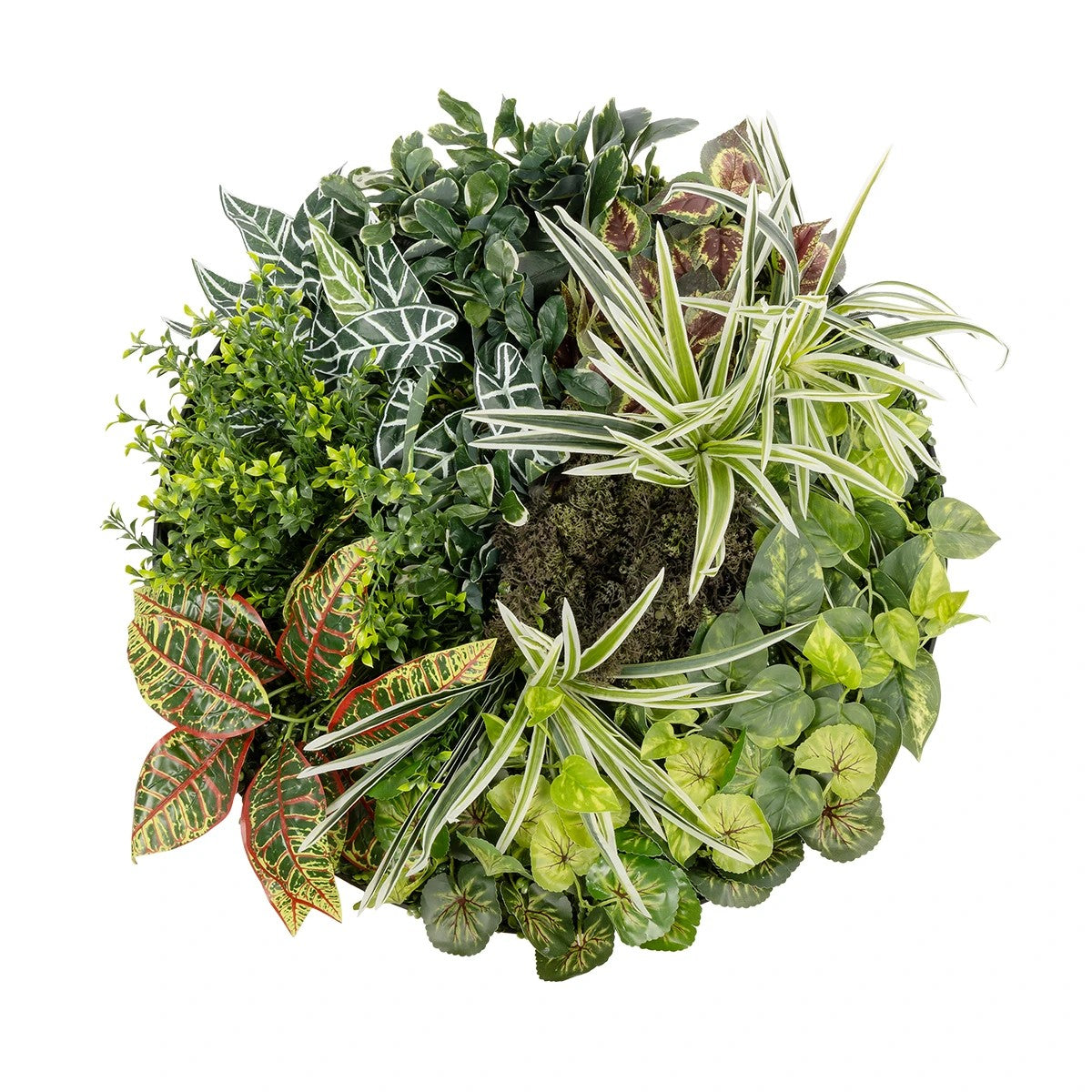 VARIOUS PLANTS ROUND WALL DISC 20691 Τεχνητό Διακοσμητικό Στρογγυλό Πάνελ Φυλλωσιάς - Κάθετος Κήπος Μιξ Μ60 x Π60 x Υ20