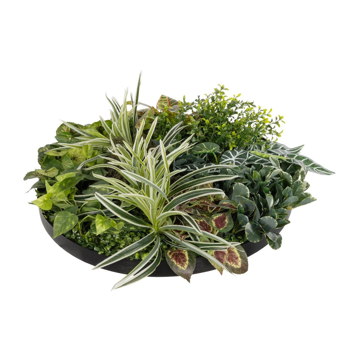 VARIOUS PLANTS ROUND WALL DISC 20691 Τεχνητό Διακοσμητικό Στρογγυλό Πάνελ Φυλλωσιάς - Κάθετος Κήπος Μιξ Μ60 x Π60 x Υ20