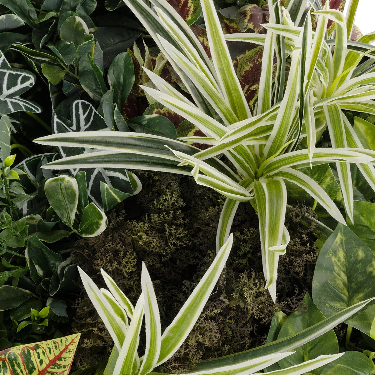 VARIOUS PLANTS ROUND WALL DISC 20691 Τεχνητό Διακοσμητικό Στρογγυλό Πάνελ Φυλλωσιάς - Κάθετος Κήπος Μιξ Μ60 x Π60 x Υ20