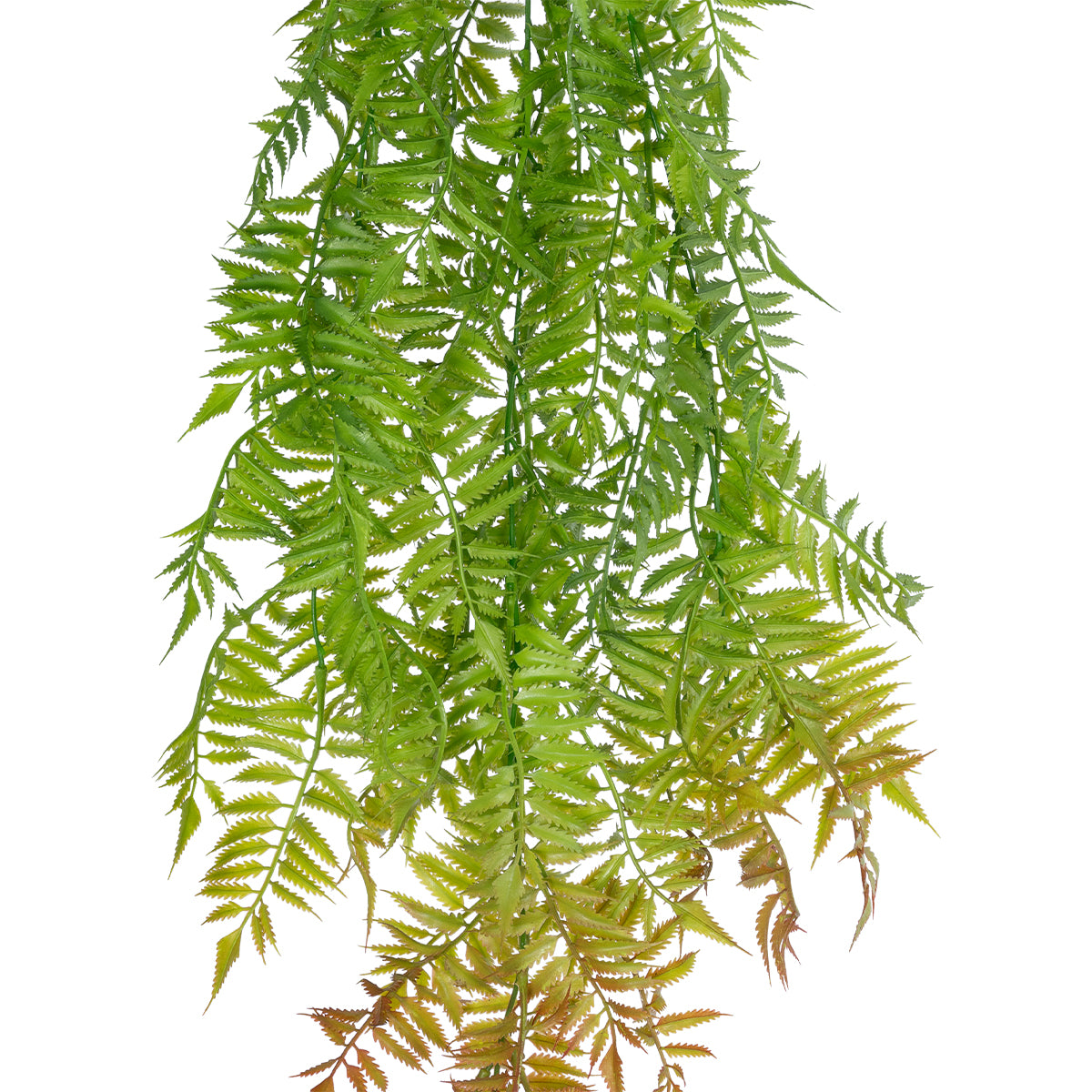 HANGING FERN 20854 Τεχνητό Διακοσμητικό Κρεμαστό Φυτό Φτέρη Μ30 x Π14 x Υ85cm